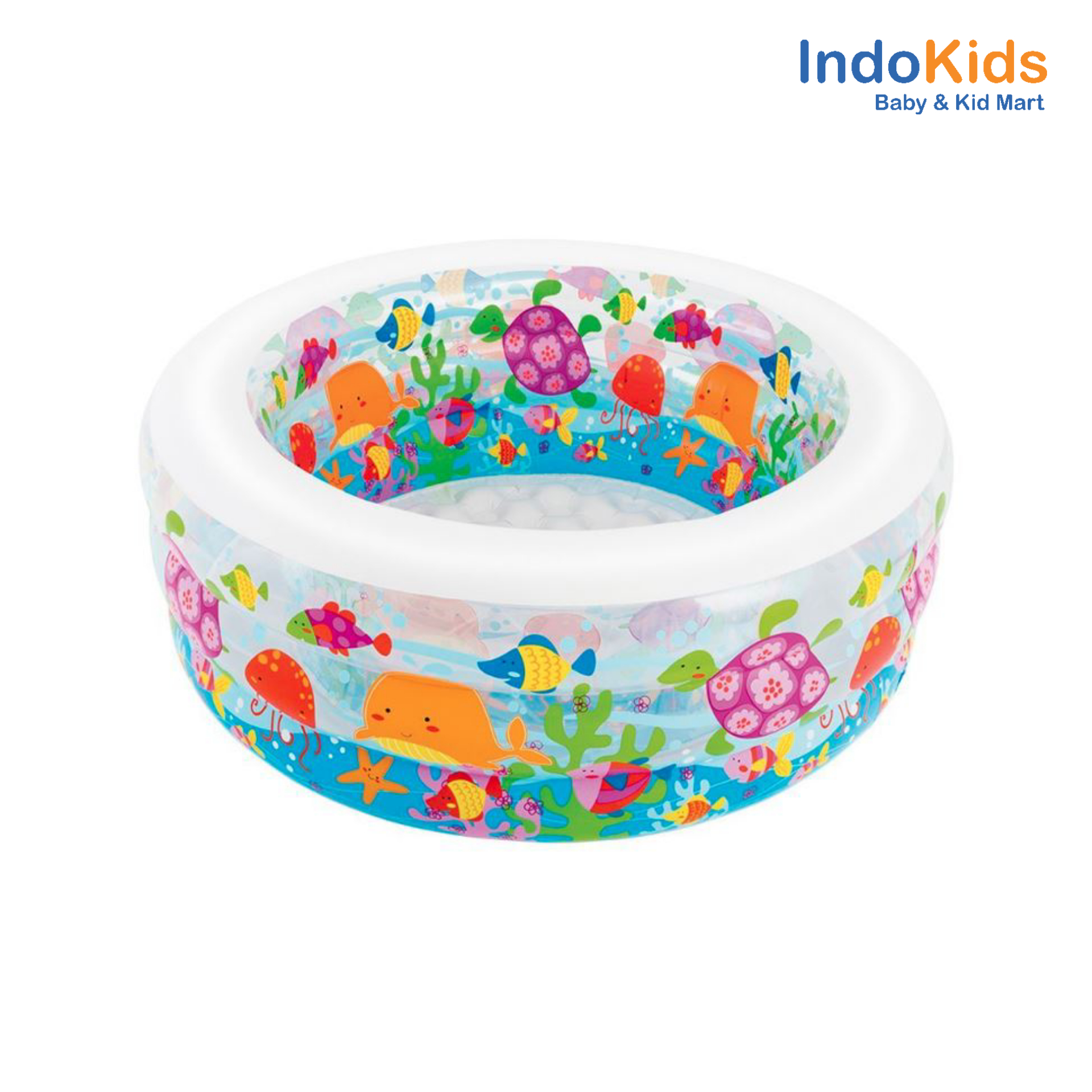 Intex Kolam Renang Aquarium Pool 58480